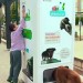 A Vending Machine That Feeds Dogs in Exchange for Empty Bottles