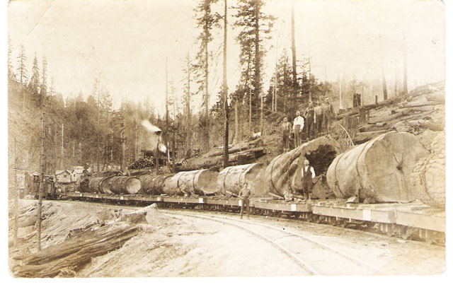 Old Lumber Operations