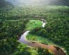 Aerial view of the lush and expansive Amazon Rainforest, showcasing its vibrant biodiversity and the winding paths of the iconic Amazon River.