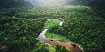  Aerial view of the lush and expansive Amazon Rainforest, showcasing its vibrant biodiversity and the winding paths of the iconic Amazon River.
